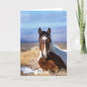 Wild Pinto Verticaal Wenskaart Feestdagen Kaart