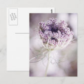wild plant briefkaart (Voorkant / Achterkant)