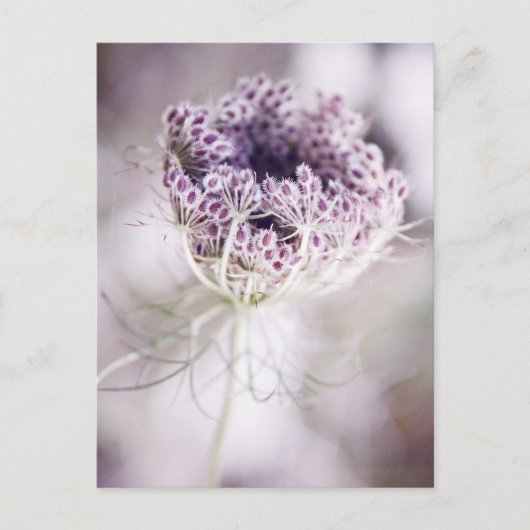wild plant briefkaart (Voorkant)