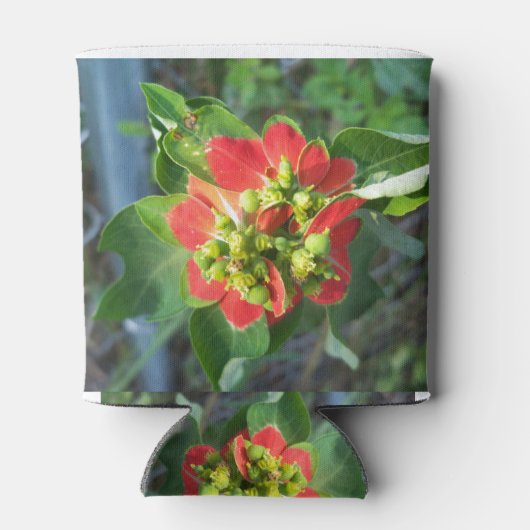 wild Poinsettia Blikjeskoeler (Achterkant)