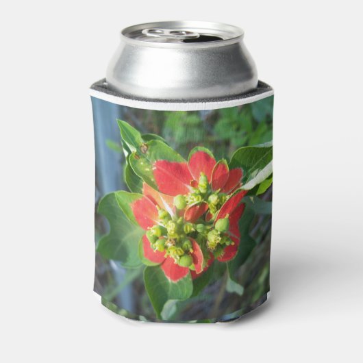 wild Poinsettia Blikjeskoeler (Blikje Achterkant)