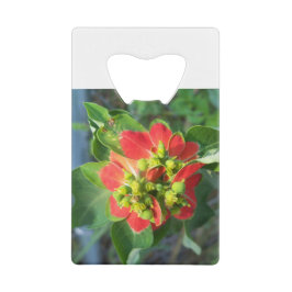 wild Poinsettia Creditkaart Flessenopener