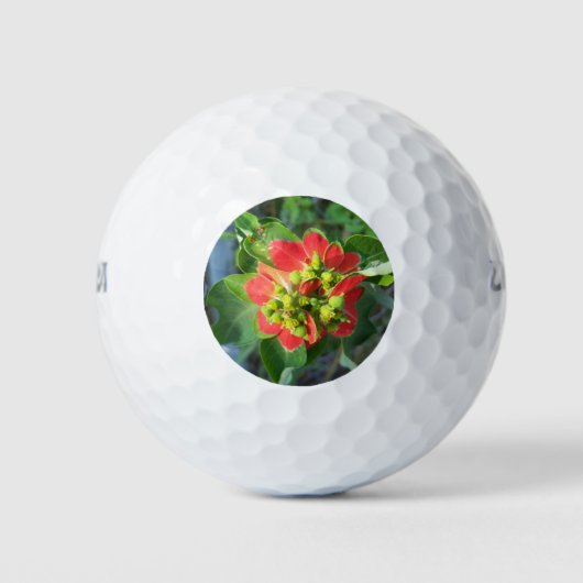wild Poinsettia Golfballen (Voorkant)