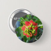 wild Poinsettia Ronde Button 5,7 Cm (Voorkant /achterkant)