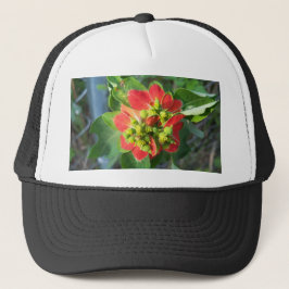 wild Poinsettia Trucker Pet