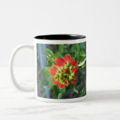 wild Poinsettia Tweekleurige Koffiemok (Links)