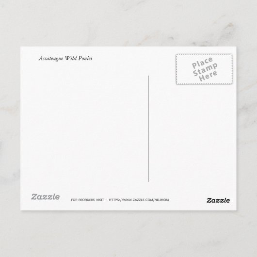 Wild Ponies Assateague - Kaarten (Achterkant)