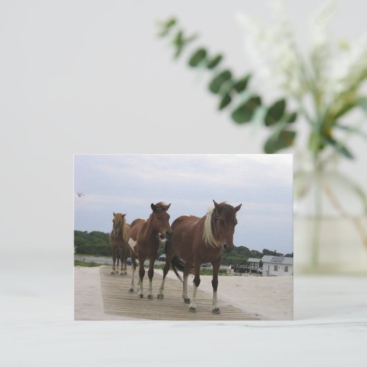Wild Ponies Briefkaart (Staand voorkant)