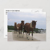Wild Ponies Briefkaart (Voorkant / Achterkant)
