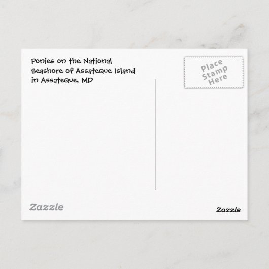 Wild Ponies Briefkaart (Achterkant)