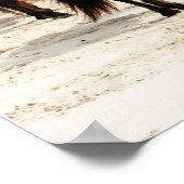 Wild Ponies Poster (Hoek)