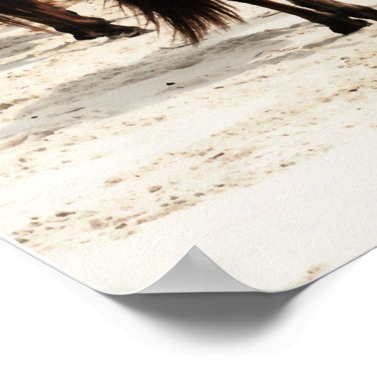 Wild Ponies Poster (Hoek)