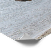 Wild Pony Poster afdrukken (Hoek)