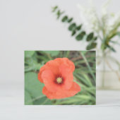 Wild Poppy Flower Briefkaart (Staand voorkant)
