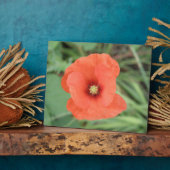 Wild Poppy Flower Plaque Fotoplaat (Zijkant)