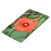 Wild Poppy Flower Premium Magnet Magneet (Linkerzijde)