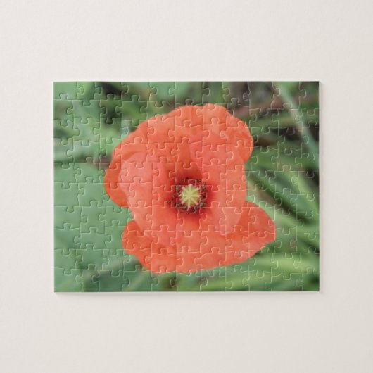 Wild Poppy Flower Puzzle Legpuzzel (Horizontaal)