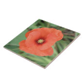 Wild Poppy Flower Tile Tegeltje (Zijkant)