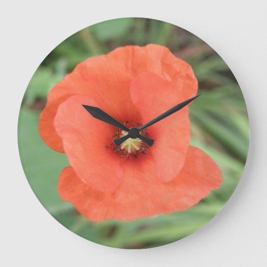Wild Poppy Flower Wall klok (Voorkant)