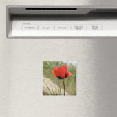 Wild Poppy Magnet (Insitu (Vaatwasser))