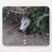 Wild Possum Muismat (Voorkant)