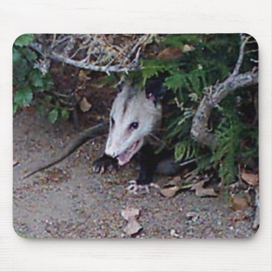 Wild Possum Muismat (Voorkant)
