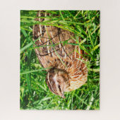 Wild Quail Jigzaag Puzzle Legpuzzel (Verticaal)