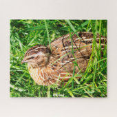 Wild Quail Jigzaag Puzzle Legpuzzel (Horizontaal)