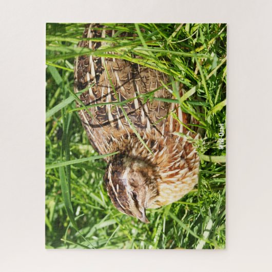 Wild Quail Legpuzzel (Verticaal)