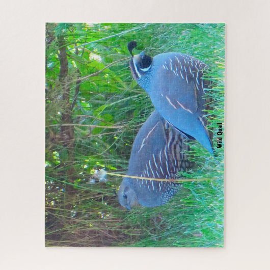 Wild Quail Legpuzzel (Verticaal)