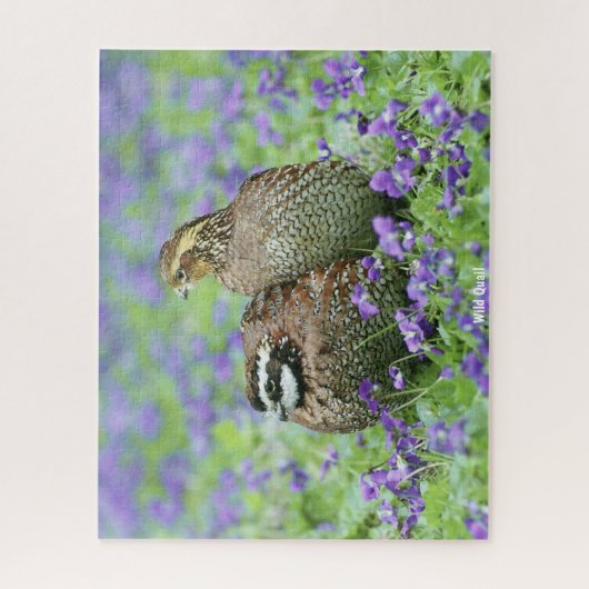 Wild Quail Legpuzzel (Verticaal)