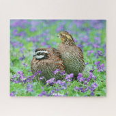 Wild Quail Legpuzzel (Horizontaal)