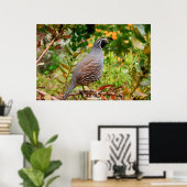 Wild Quail Poster (Thuiskantoor)