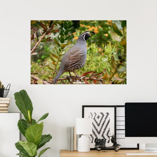 Wild Quail Poster (Thuiskantoor)