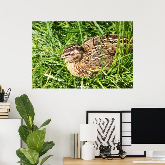 Wild Quail Poster (Thuiskantoor)