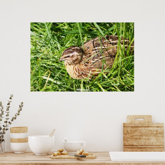 Wild Quail Poster (Keuken)