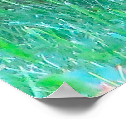 Wild Quail Poster (Hoek)