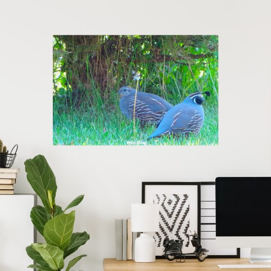 Wild Quail Poster (Thuiskantoor)