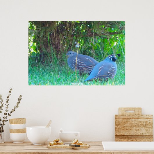 Wild Quail Poster (Keuken)