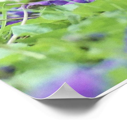 Wild Quail Poster (Hoek)