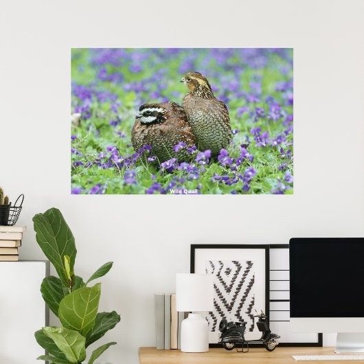 Wild Quail Poster (Thuiskantoor)