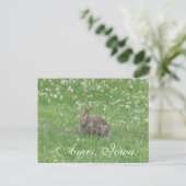 Wild Rabbit Ames, Iowa Briefkaart (Staand voorkant)