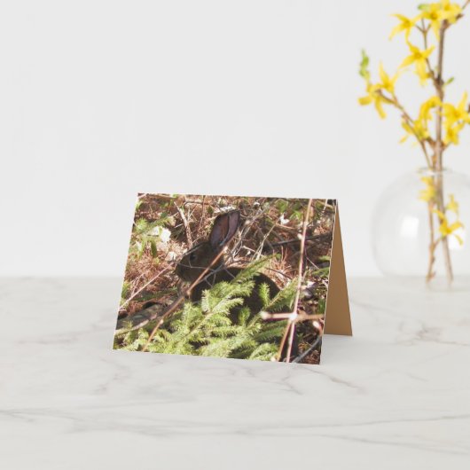 Wild Rabbit Blank Note Kaart (Gele Bloem)