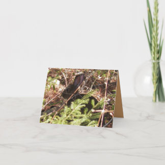 Wild Rabbit Blank Note Kaart