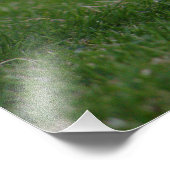 Wild Rabbit Foto Afdruk (Hoek)