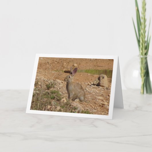 Wild Rabbit in Canyon Kaart (Voorkant)