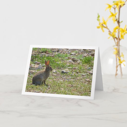 Wild Rabbit in Canyon Kaart (Gele Bloem)