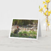 Wild Rabbit in Canyon Kaart (Gele Bloem)