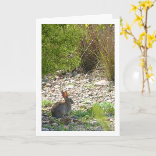 Wild Rabbit in Canyon Kaart (Gele Bloem)