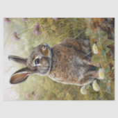 Wild Rabbit in het veld Decoupage Tissuepapier (Voorkant)
